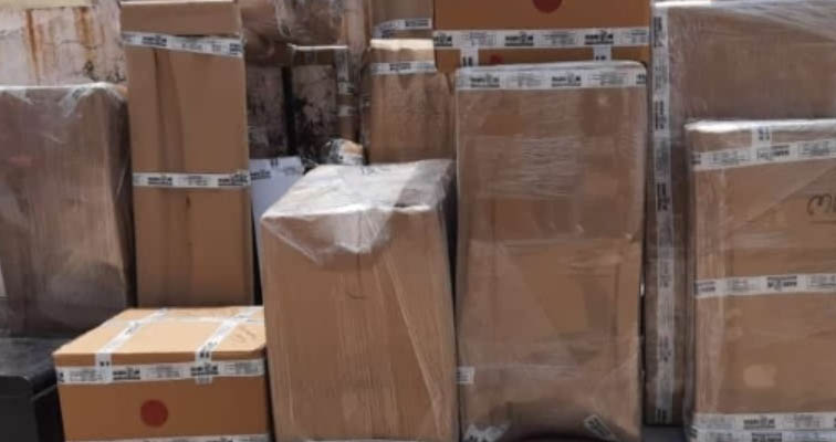 Container freight and bulk cargo transport services